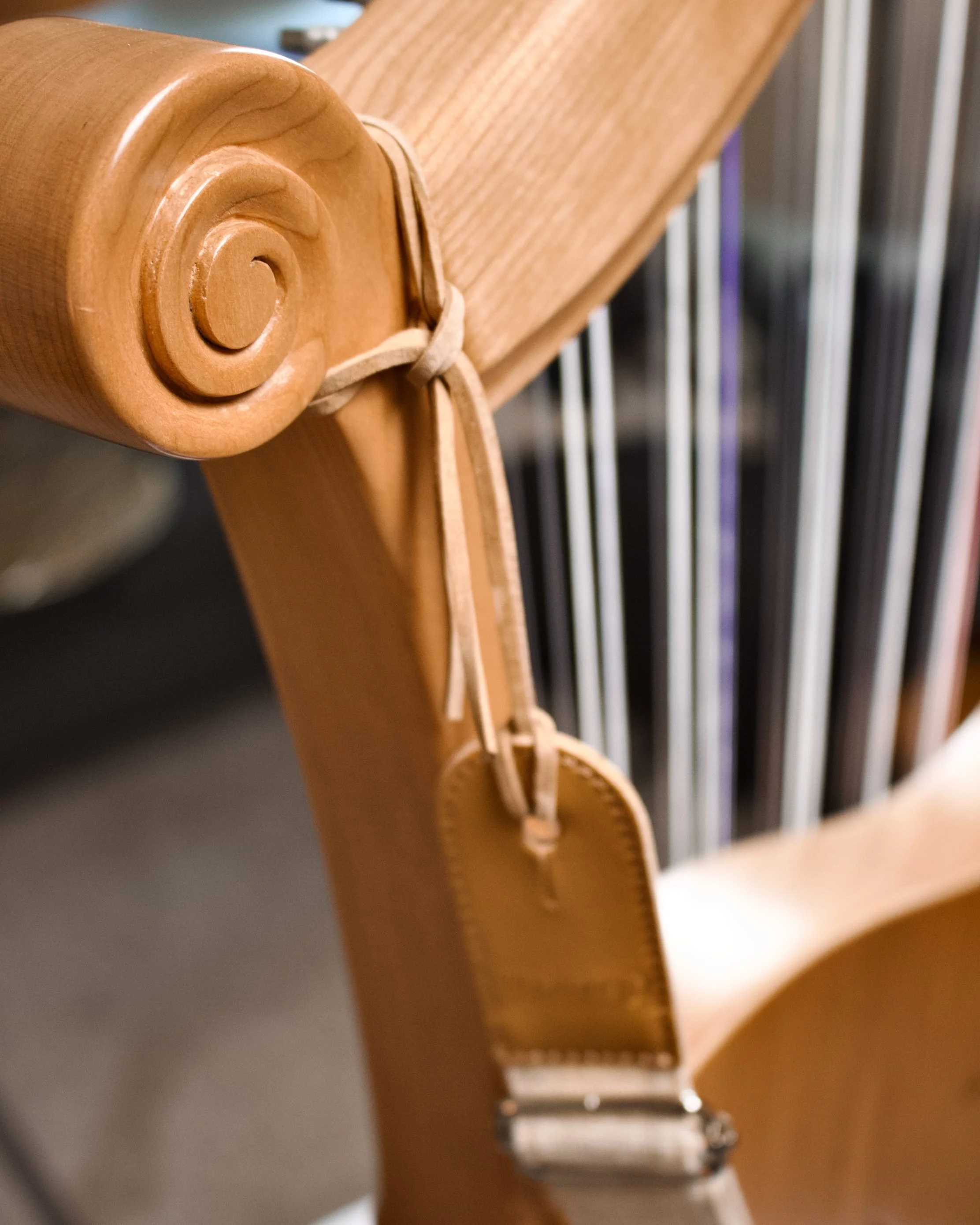 Teach Yourself Harp: Books & DVDs for Every Level — Marini Made Harps